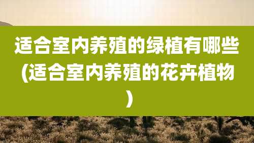 适合室内养殖的绿植有哪些(适合室内养殖的花卉植物）