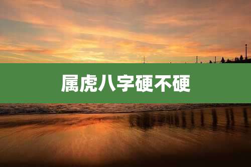 属虎八字硬不硬