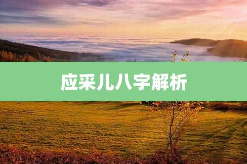 应采儿八字解析