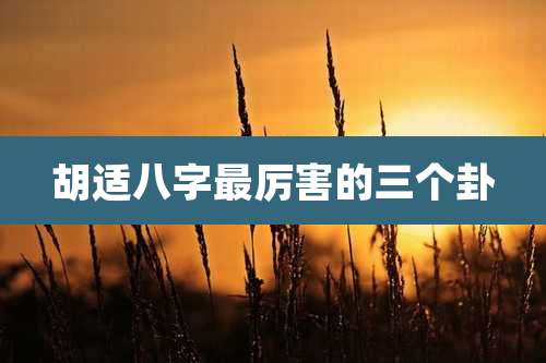 胡适八字最厉害的三个卦