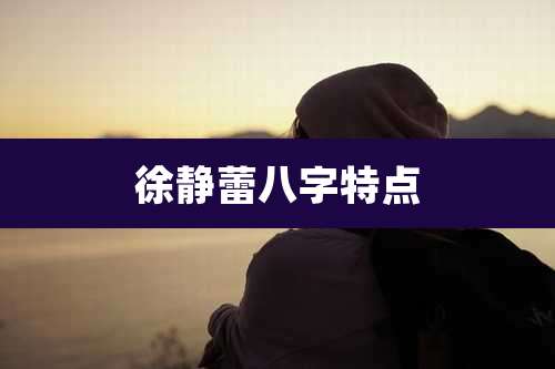 徐静蕾八字特点