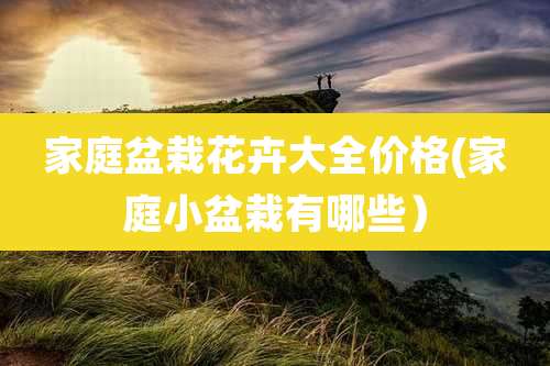 家庭盆栽花卉大全价格(家庭小盆栽有哪些)