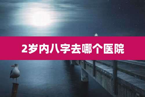 2岁内八字去哪个医院