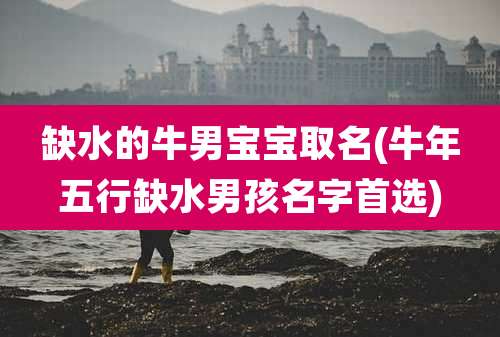缺水的牛男宝宝取名(牛年五行缺水男孩名字首选)