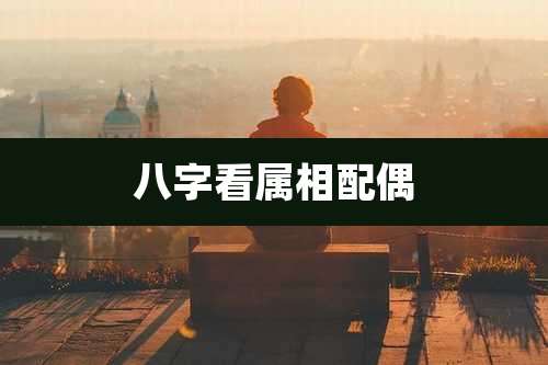 八字看属相配偶