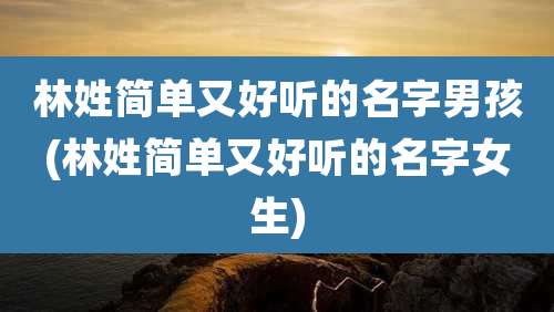 林姓简单又好听的名字男孩(林姓简单又好听的名字女生)