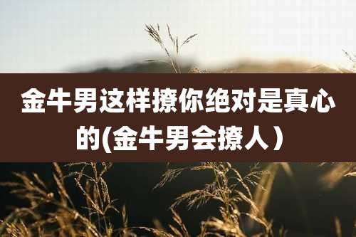 金牛男这样撩你绝对是真心的(金牛男会撩人）