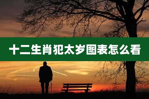 十二生肖犯太岁图表怎么看