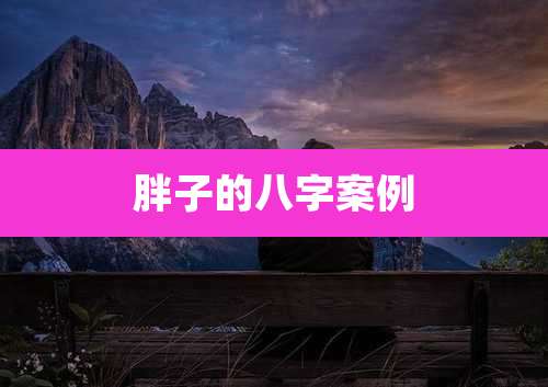 胖子的八字案例