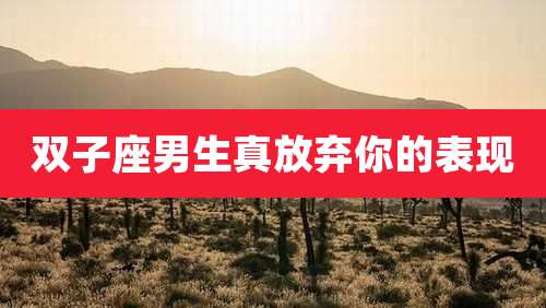 双子座男生真放弃你的表现