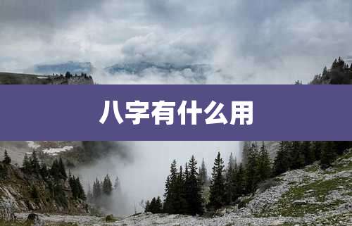 八字有什么用