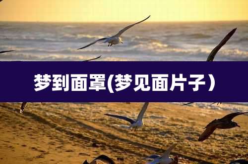 梦到面罩(梦见面片子)