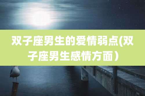 双子座男生的爱情弱点(双子座男生感情方面)