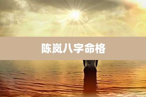 陈岚八字命格