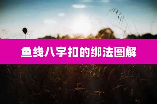鱼线八字扣的绑法图解
