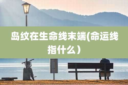 岛纹在生命线末端(命运线指什么）