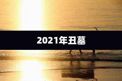 2021年丑墓