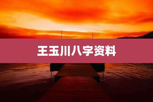 王玉川八字资料