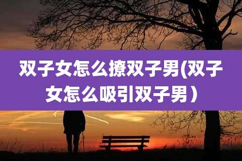双子女怎么撩双子男(双子女怎么吸引双子男）