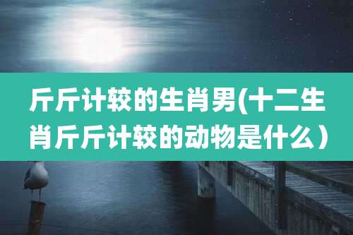 斤斤计较的生肖男(十二生肖斤斤计较的动物是什么）
