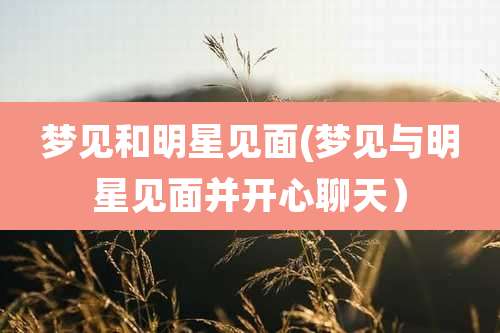 梦见和明星见面(梦见与明星见面并开心聊天)