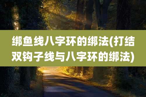 绑鱼线八字环的绑法(打结双钩子线与八字环的绑法)