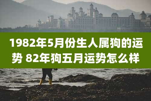 1982年5月份生人属狗的运势 82年狗五月运势怎么样