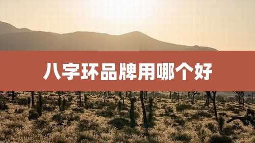 八字环品牌用哪个好