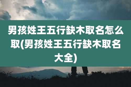男孩姓王五行缺木取名怎么取(男孩姓王五行缺木取名大全)