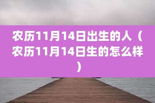 农历11月14日出生的人(农历11月14日生的怎么样)