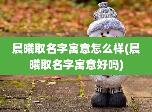 晨曦取名字寓意怎么样(晨曦取名字寓意好吗)