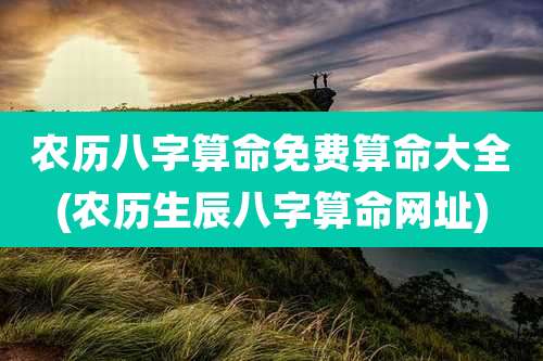 农历八字算命免费算命大全(农历生辰八字算命网址)