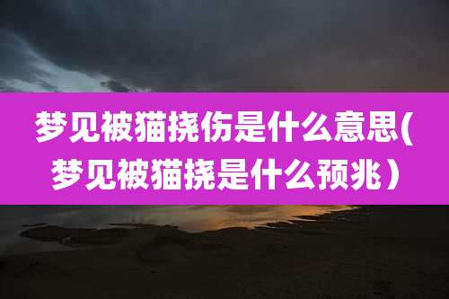 梦见被猫挠伤是什么意思(梦见被猫挠是什么预兆）