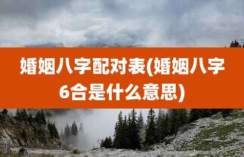 婚姻八字配对表(婚姻八字6合是什么意思)