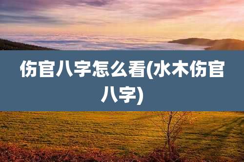 伤官八字怎么看(水木伤官八字)