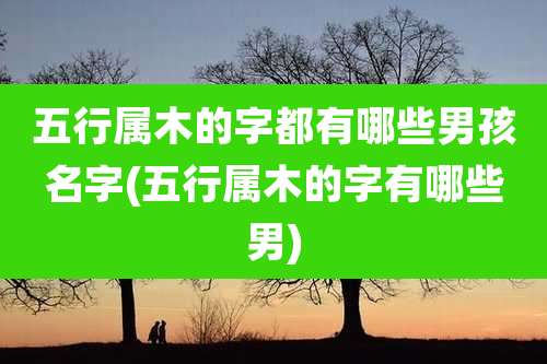 五行属木的字都有哪些男孩名字(五行属木的字有哪些男)