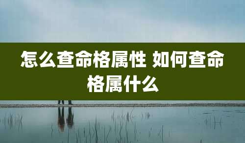 怎么查命格属性 如何查命格属什么