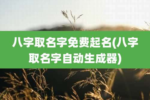 八字取名字免费起名(八字取名字自动生成器)