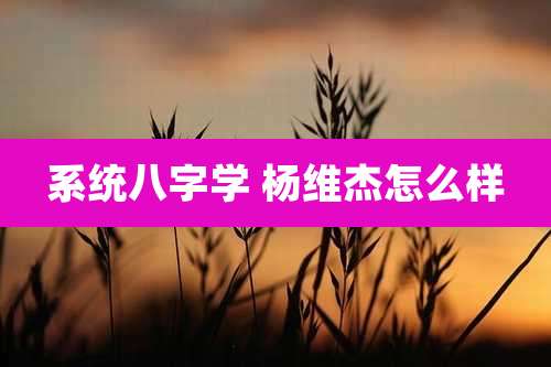系统八字学 杨维杰怎么样