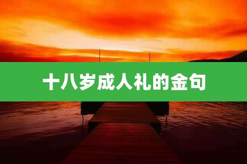 十八岁成人礼的金句