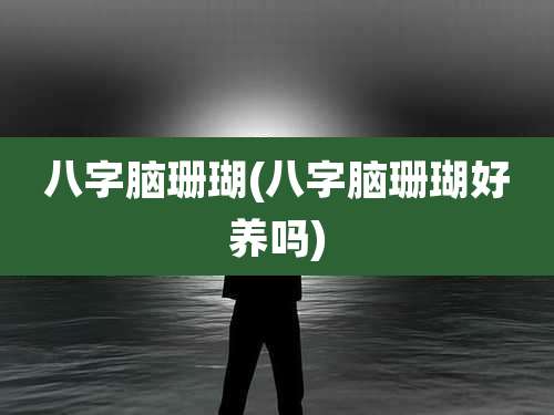 八字脑珊瑚(八字脑珊瑚好养吗)