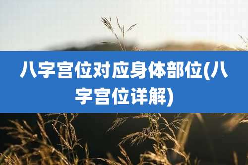八字宫位对应身体部位(八字宫位详解)