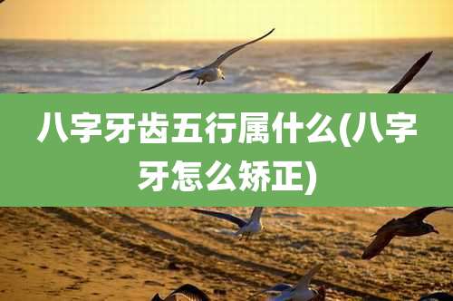 八字牙齿五行属什么(八字牙怎么矫正)