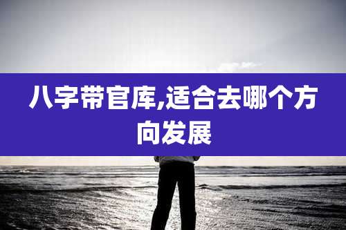 八字带官库,适合去哪个方向发展