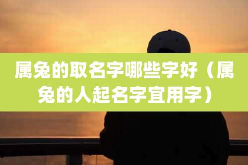 属兔的取名字哪些字好(属兔的人起名字宜用字)