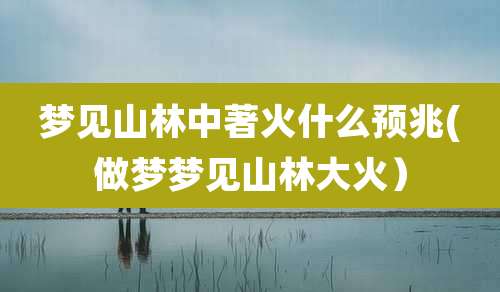 梦见山林中著火什么预兆(做梦梦见山林大火)