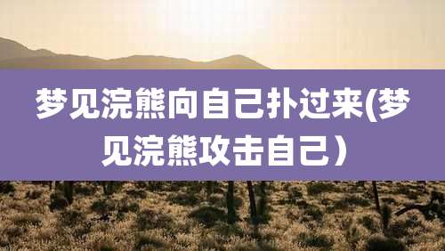 梦见浣熊向自己扑过来(梦见浣熊攻击自己)