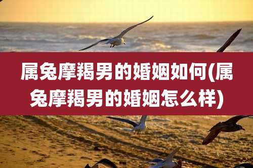 属兔摩羯男的婚姻如何(属兔摩羯男的婚姻怎么样)