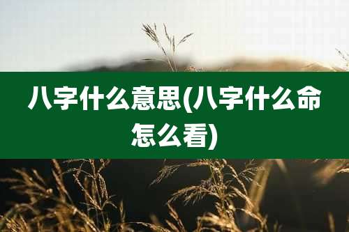 八字什么意思(八字什么命怎么看)