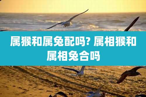 属猴和属兔配吗? 属相猴和属相兔合吗